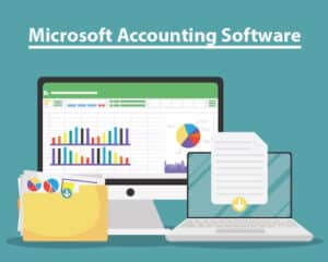 microsoft accounting software